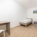 דירה Sucic 2 *