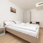 דירה Sucic 2