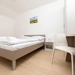 Sucic 2 סולינה